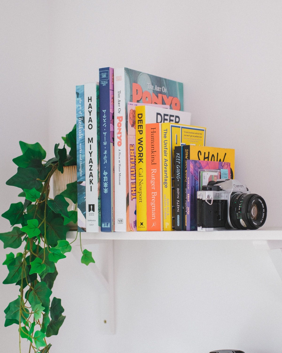 Tom Hitchins's workspace — photo 4