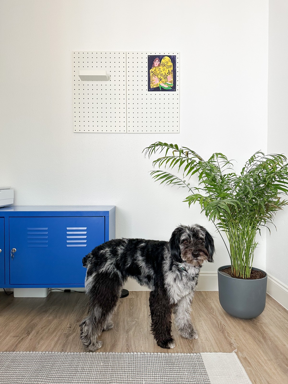 Noelle Hoffman's workspace — photo 3