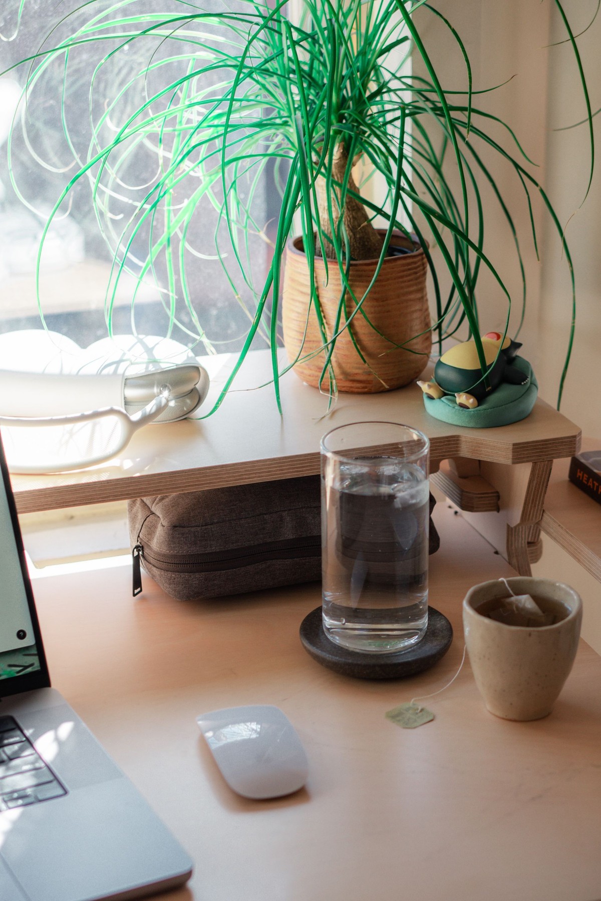 Mandy Thao's workspace — photo 6