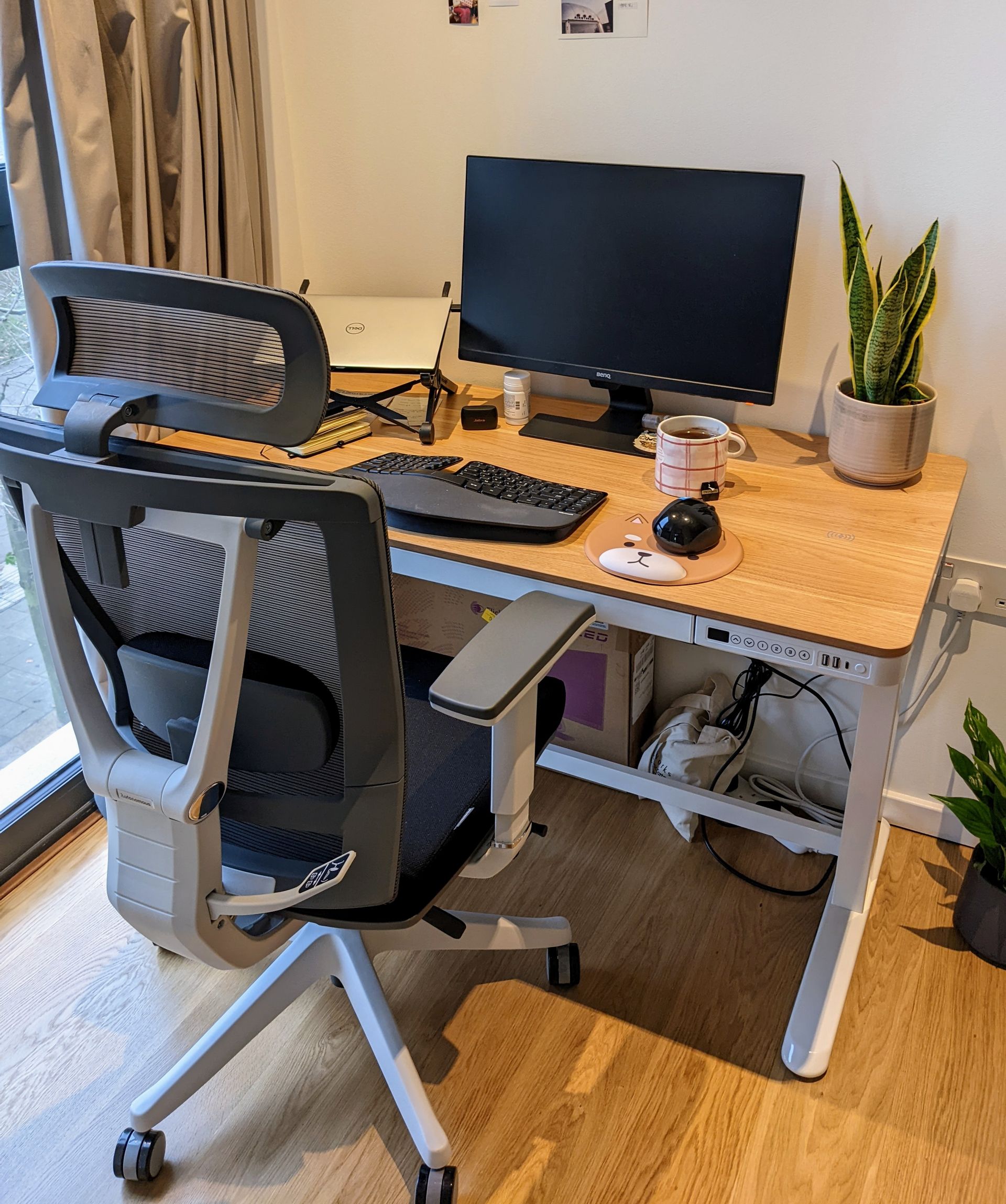 Hyunjoo Cho's workspace