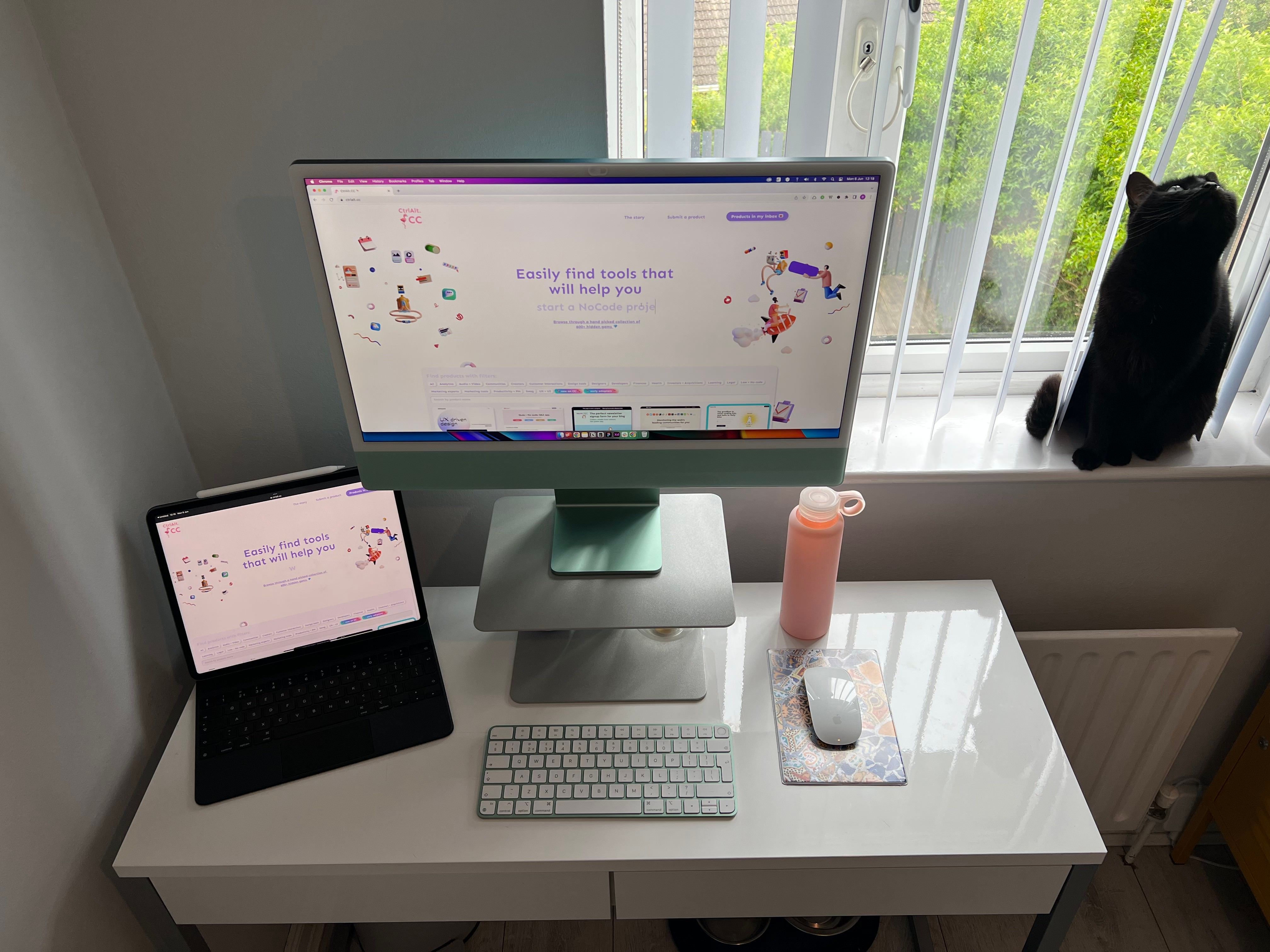 Daniela's workspace