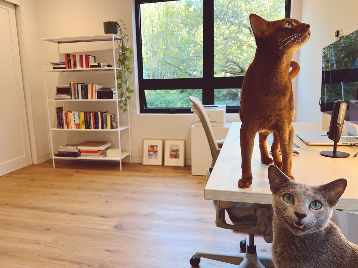 Colin Dunn's workspace — photo 4