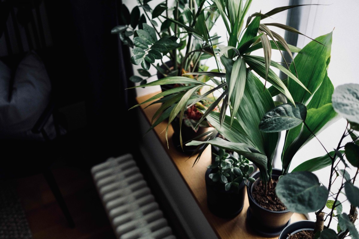 Andy Cooke's workspace — photo 10