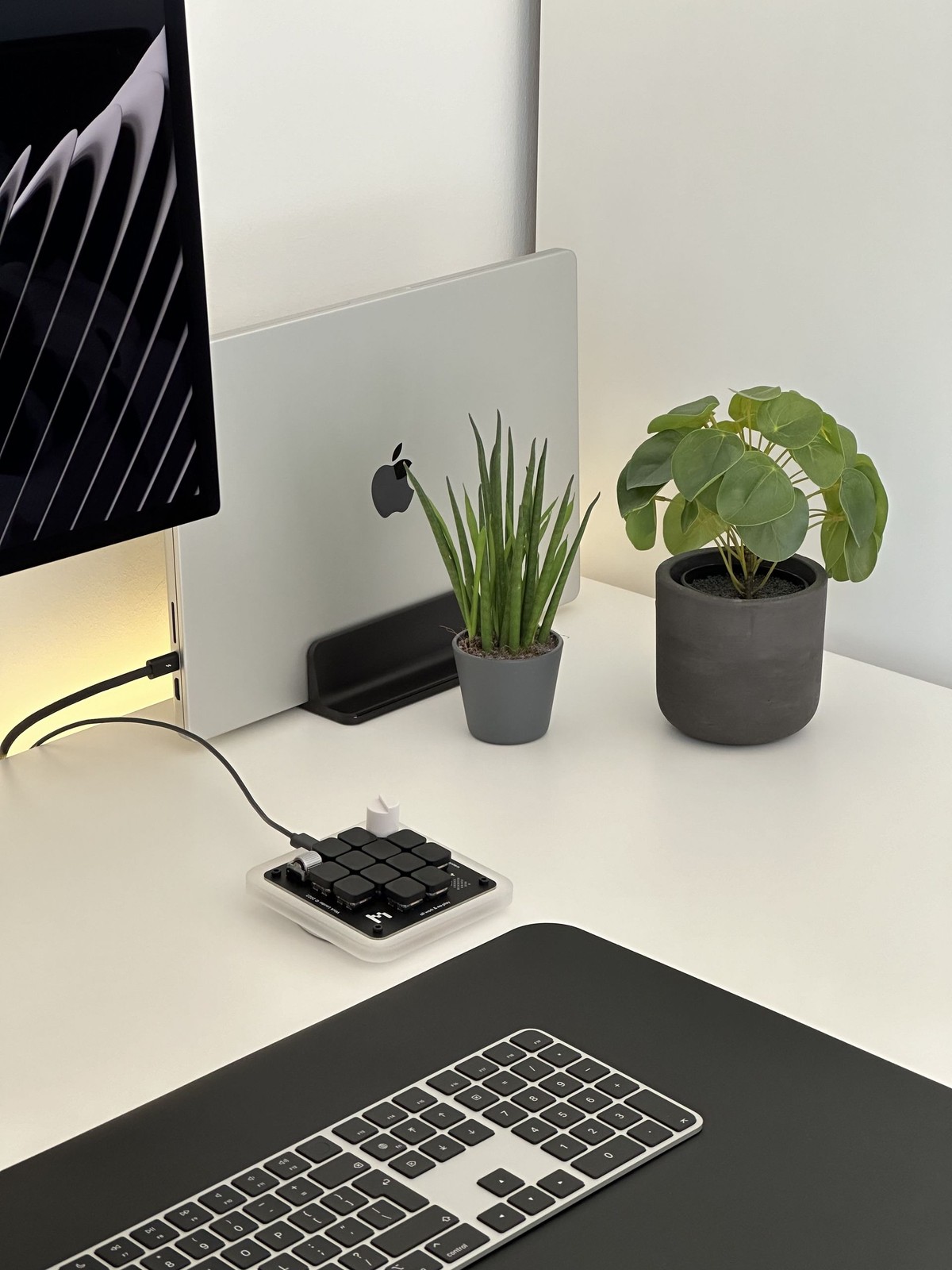 Tobias Reich's workspace — photo 2