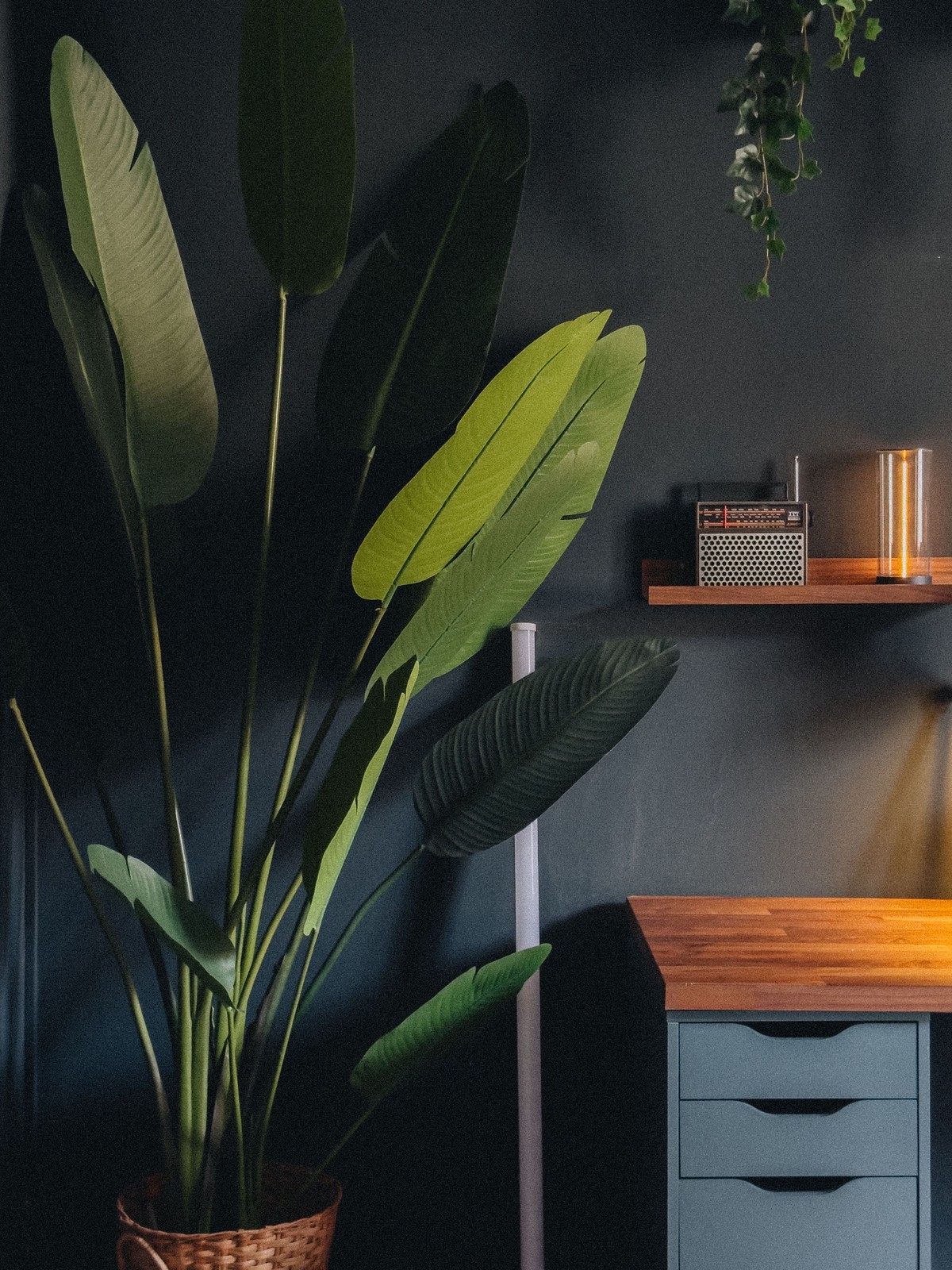 Mattia Giannattasio's workspace — photo 6