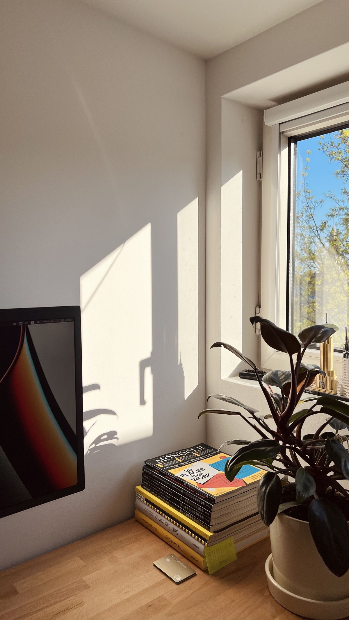 Alex Chernikov's workspace — photo 5