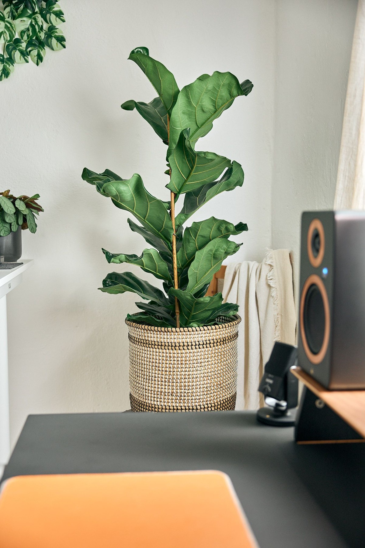 Mateus Almeida's workspace — photo 7
