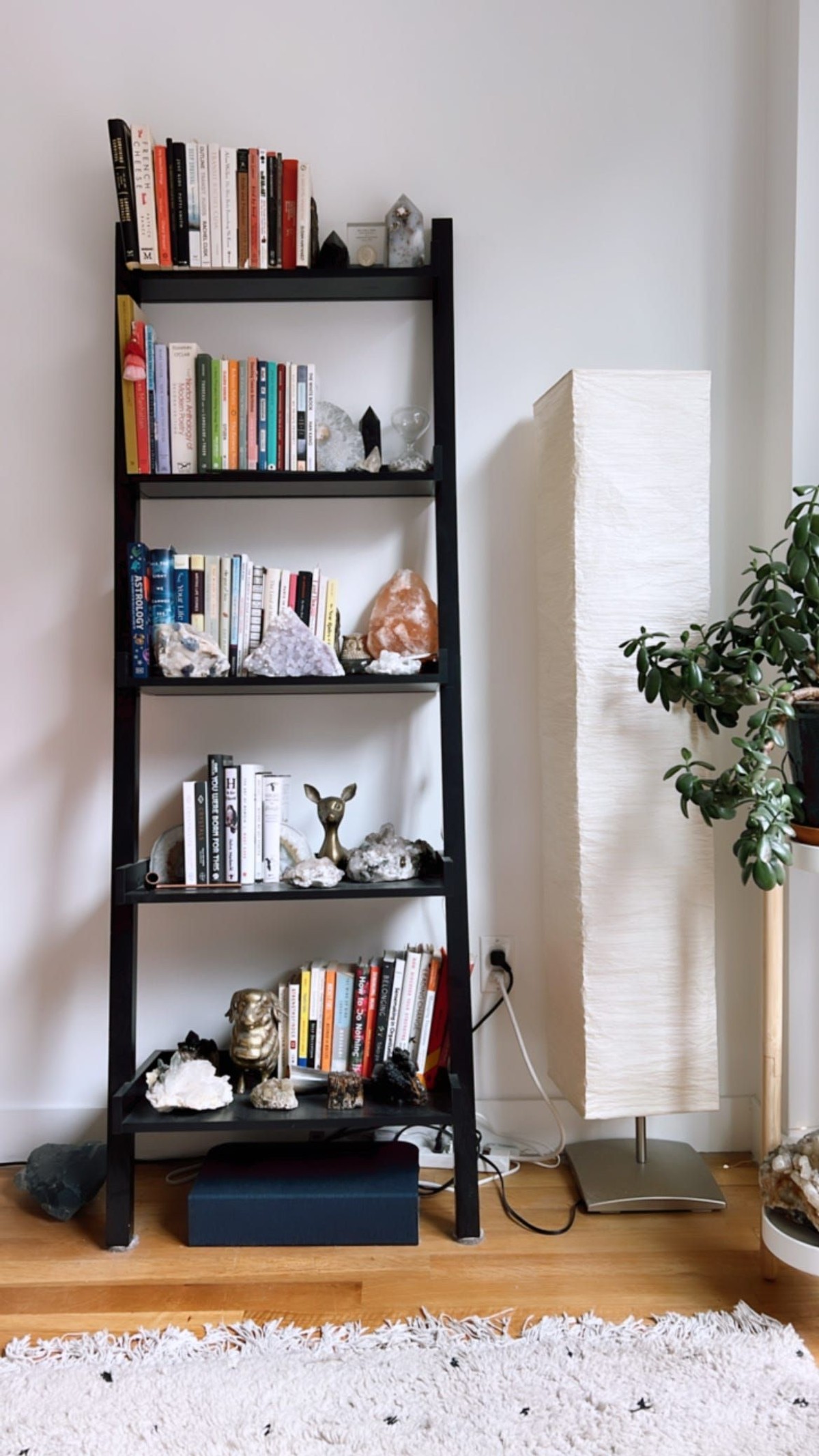 Suzan Bond's workspace — photo 5