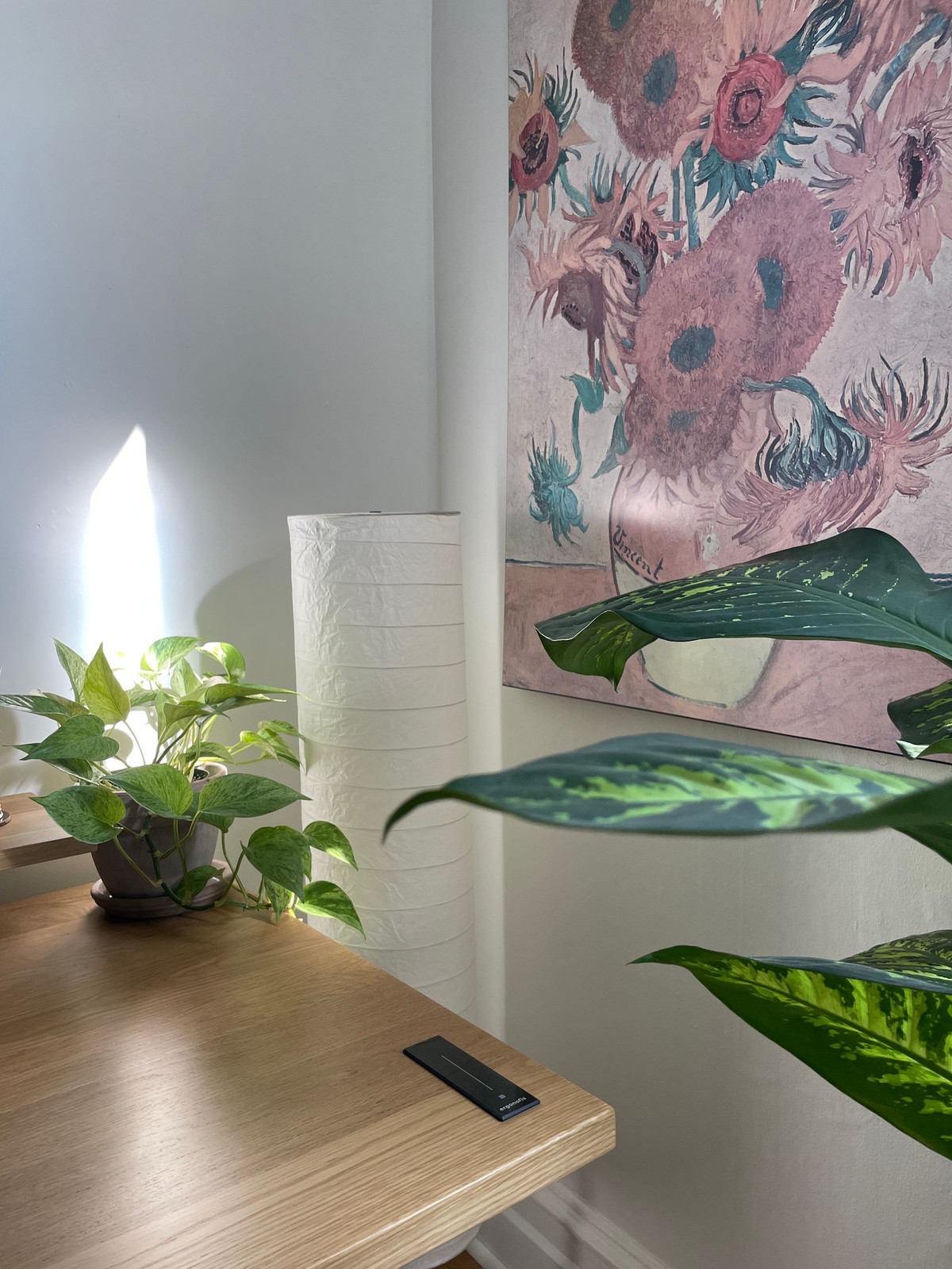 Marie Pelletier-Matte's workspace — photo 6