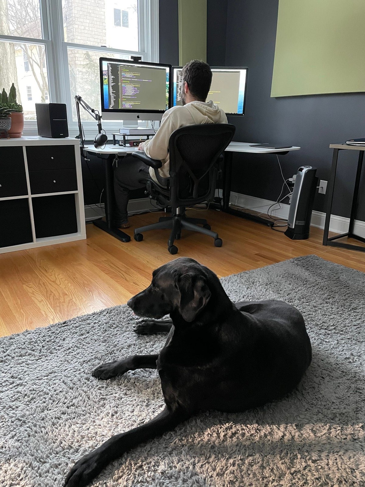 Brian Casel's workspace — photo 2