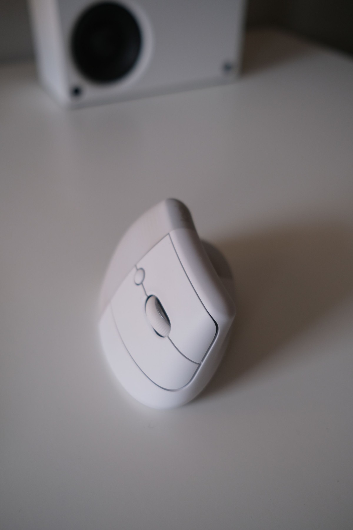 Helin Kıl's workspace — photo 7