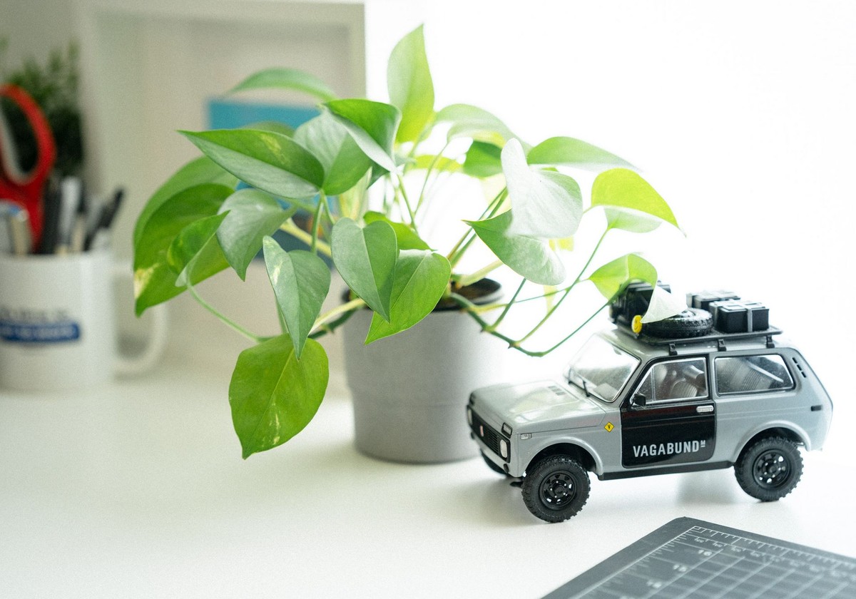 Mason Watson's workspace — photo 4