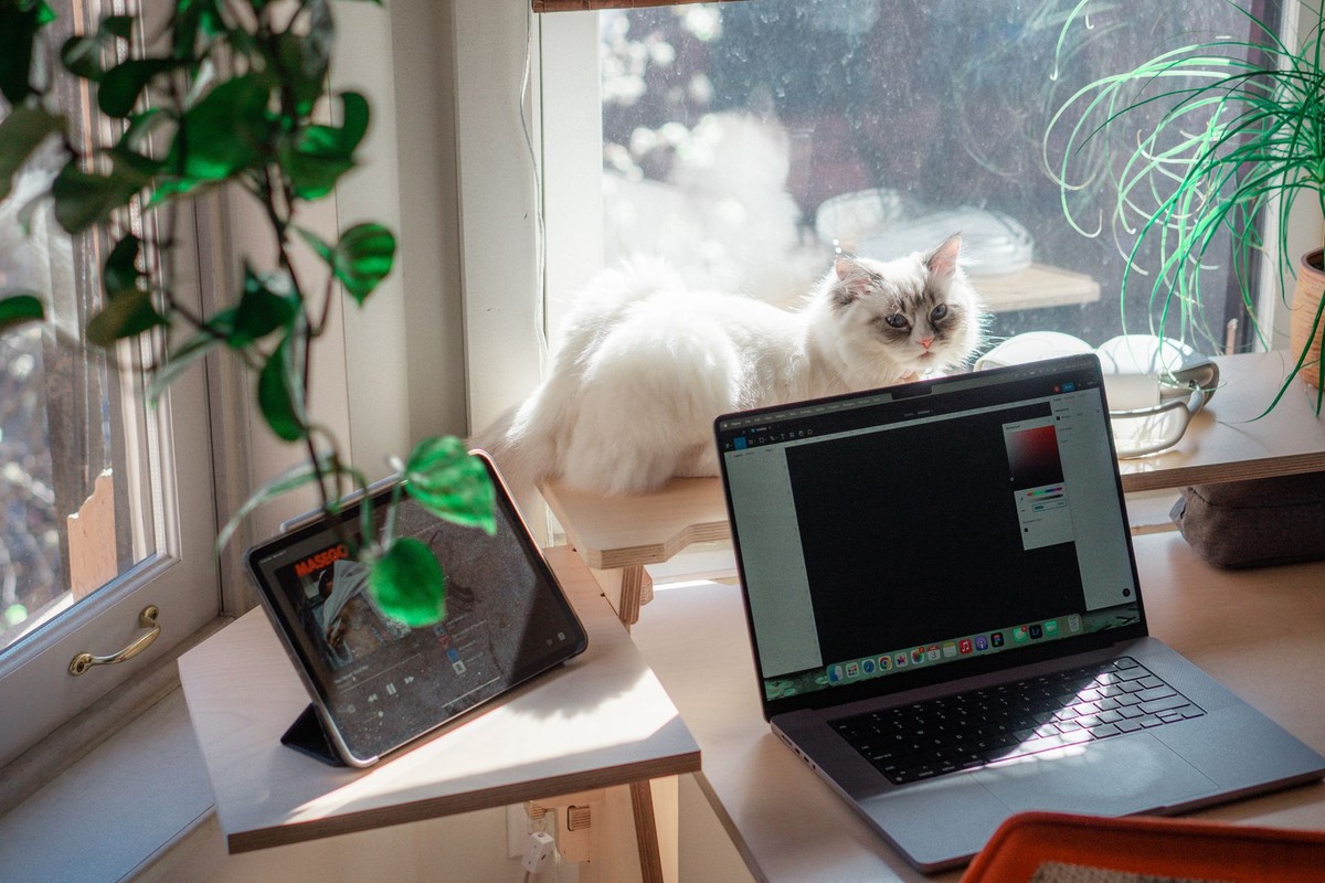 Mandy Thao's workspace — photo 9