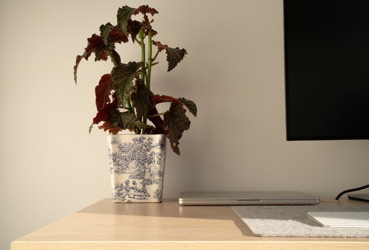 Mariana Castilho's workspace — photo 3