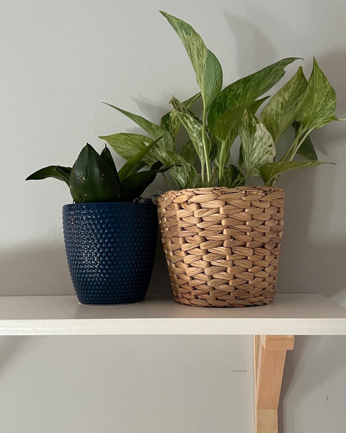 Nicole Franq's workspace — photo 4