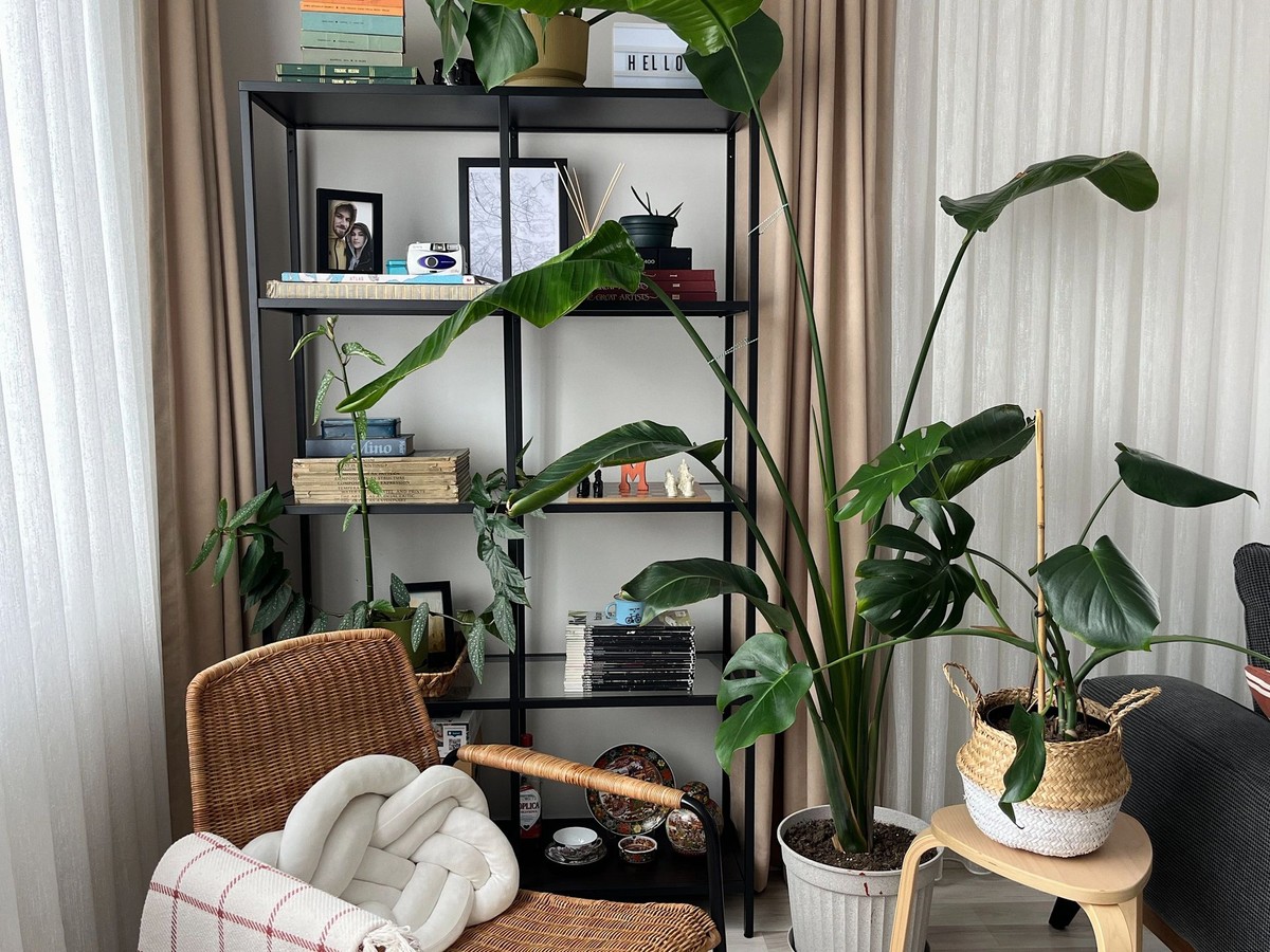 Mine Canan Göldaf's workspace — photo 6