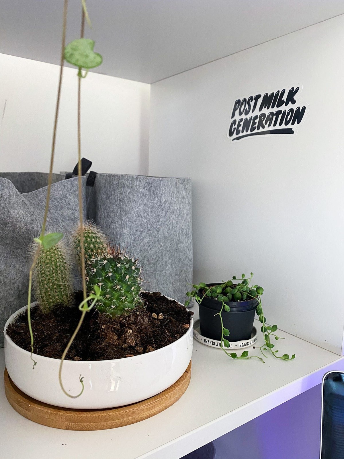 Sara Brunettini's workspace — photo 3