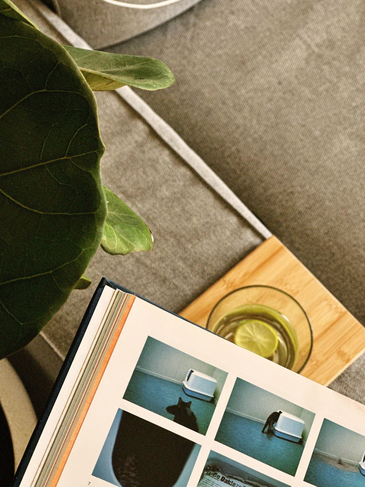 Akash Nagaraj's workspace — photo 5
