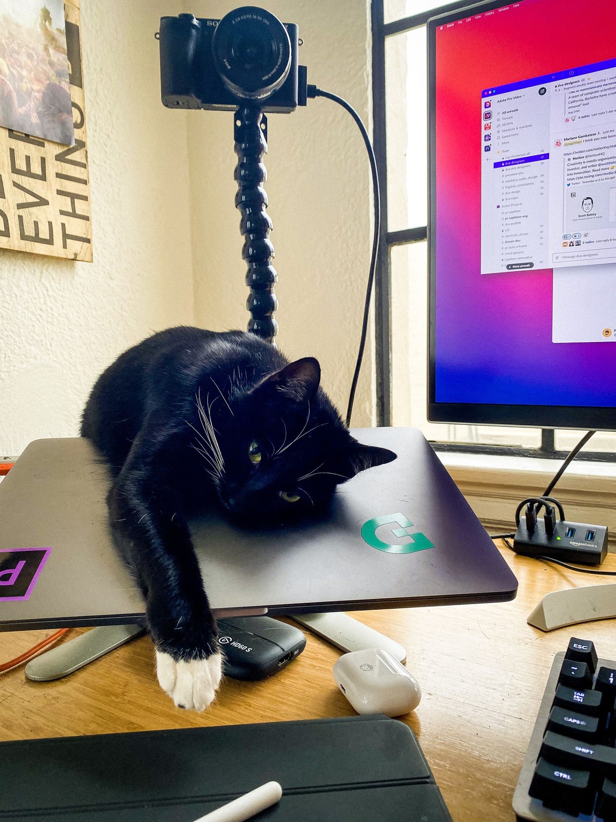 Parker Gibbons's workspace — photo 8