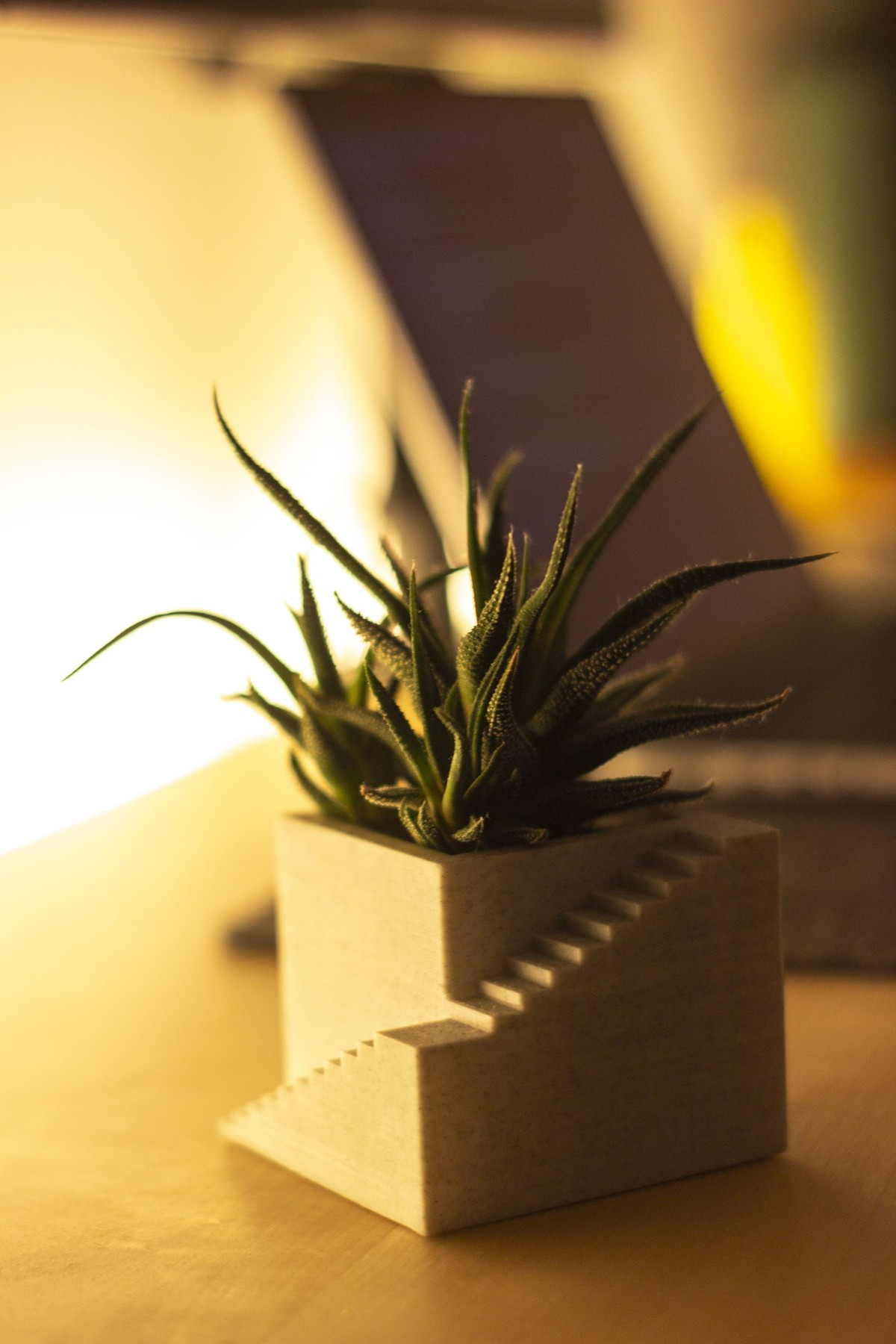 Fabio Monzani's workspace — photo 3