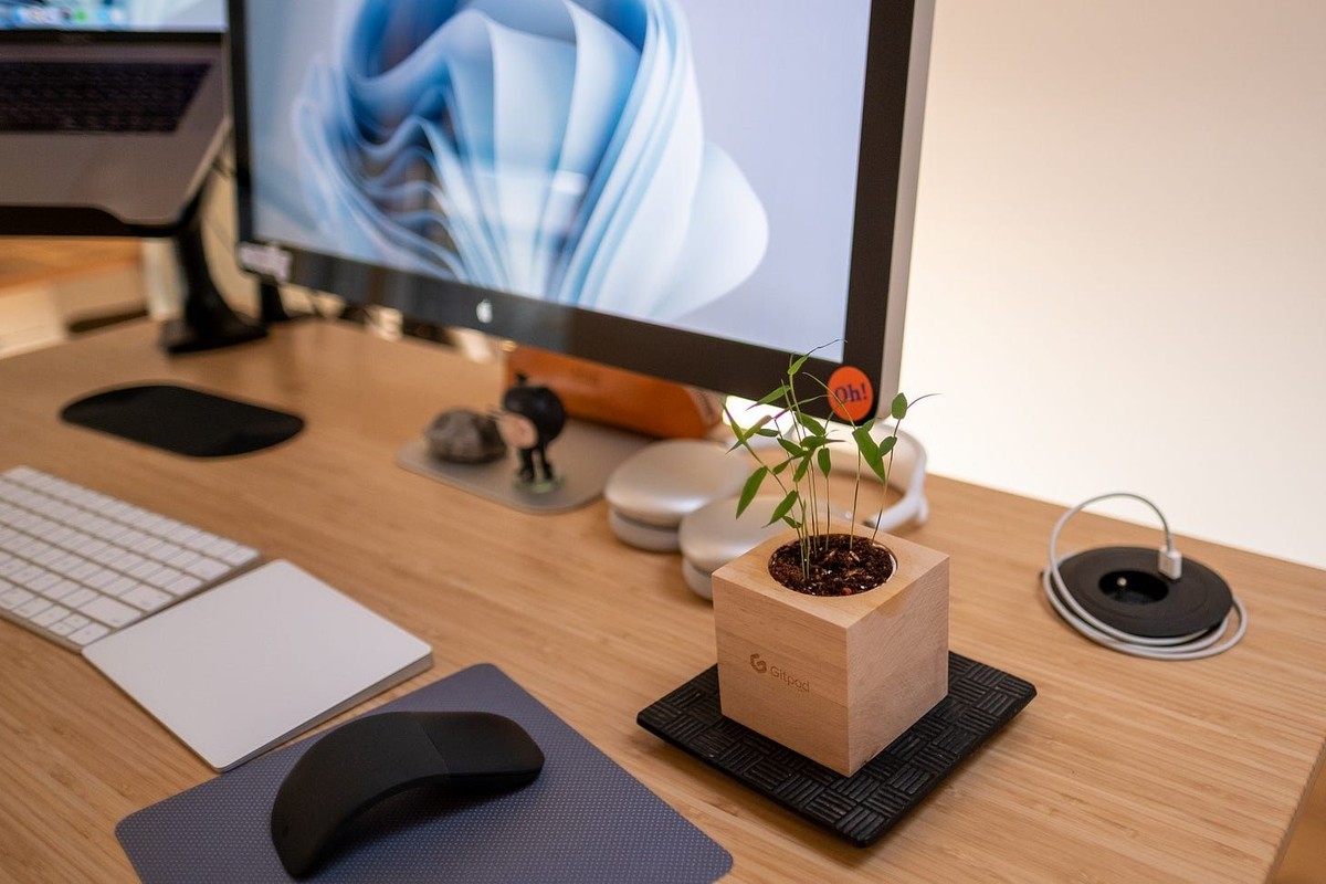 Victoria Leontieva's workspace — photo 3