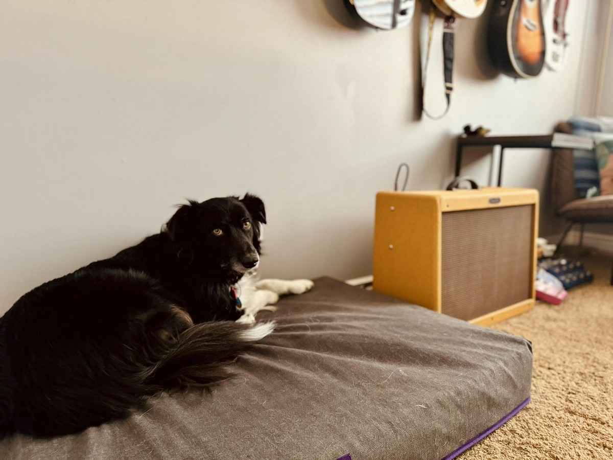 Dave Crow's workspace — photo 6