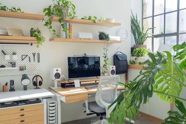 Plants