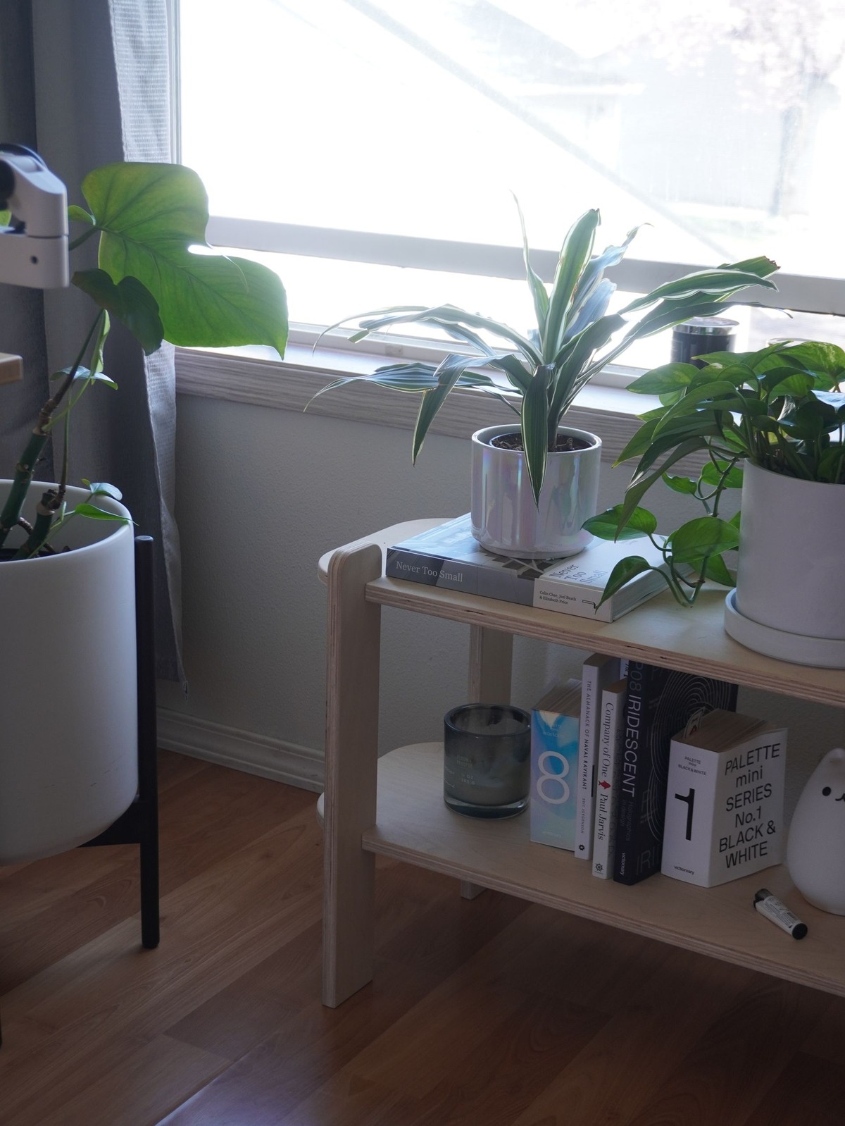 Ivor Jian's workspace — photo 8