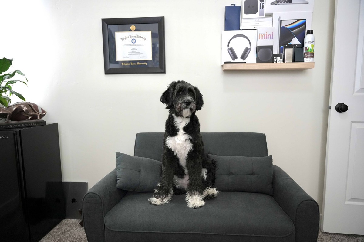 Austin Blake's workspace — photo 14