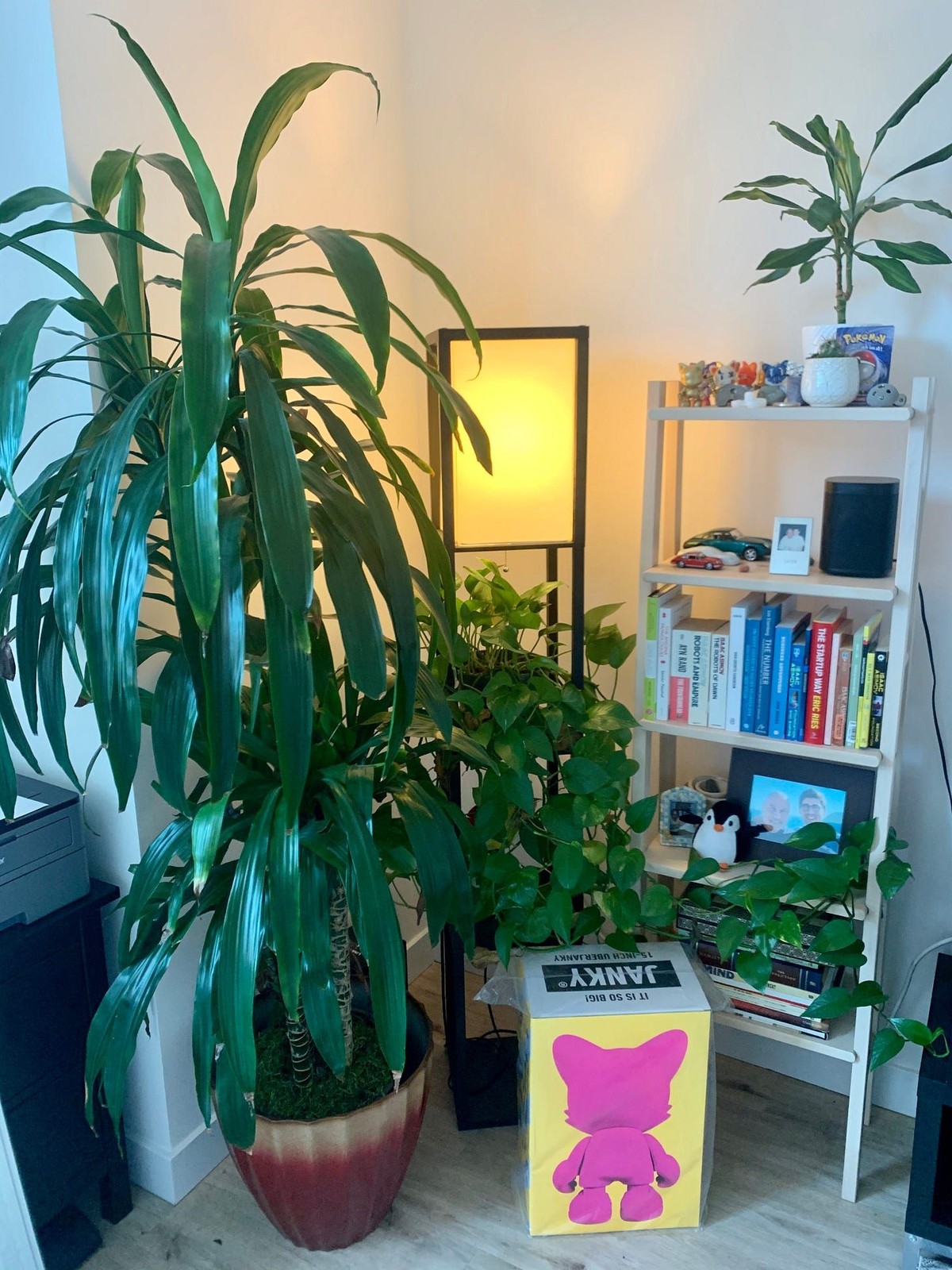 Nick Abouzeid's workspace — photo 4