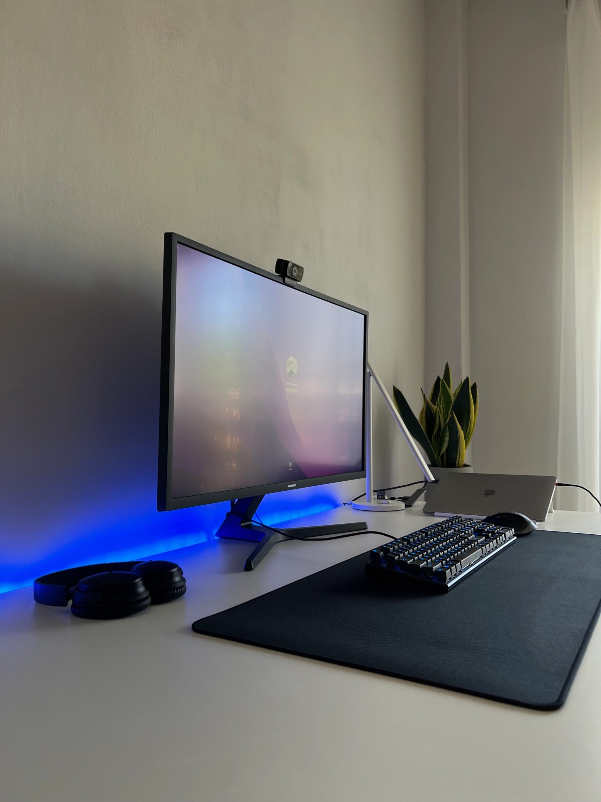 Jim Raptis's workspace — photo 2