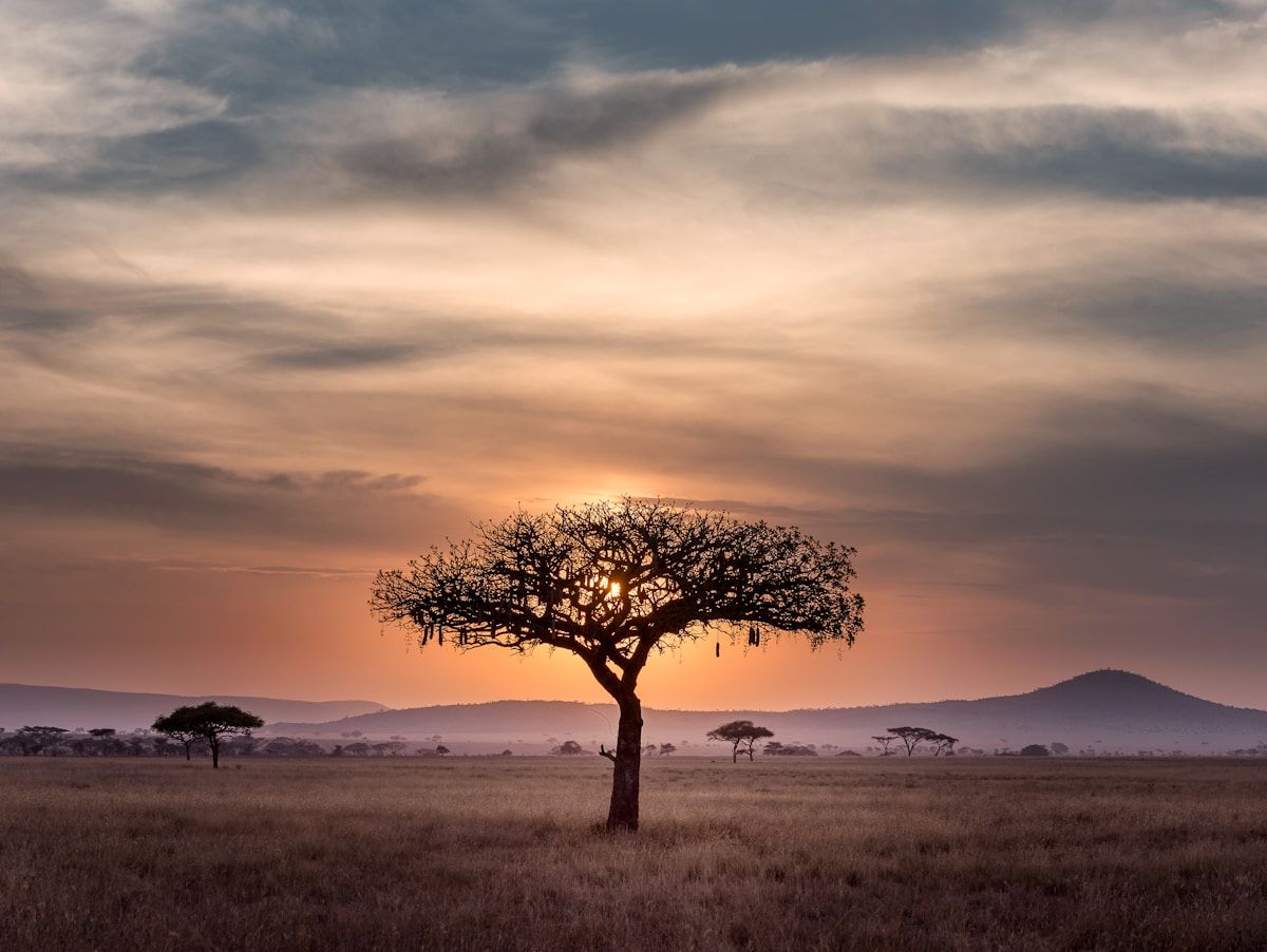 Kenya