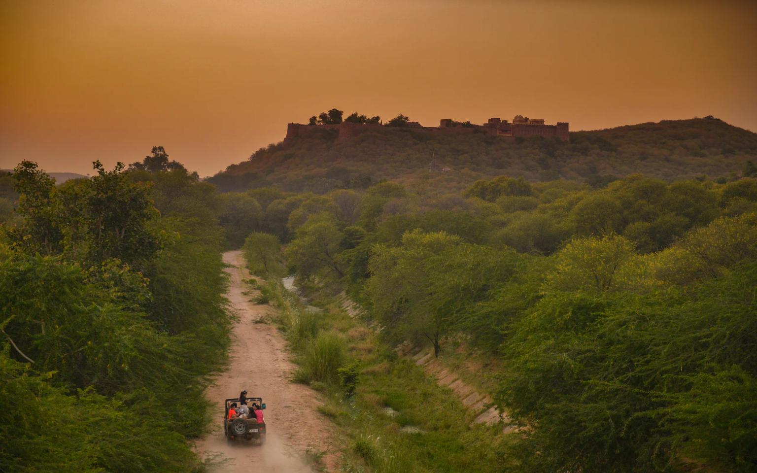 A day-trip to Ranthambore