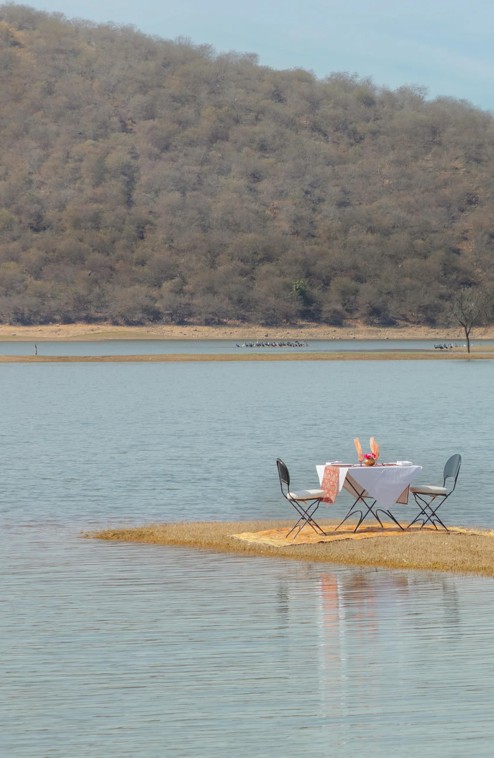 Picnic at the Lake