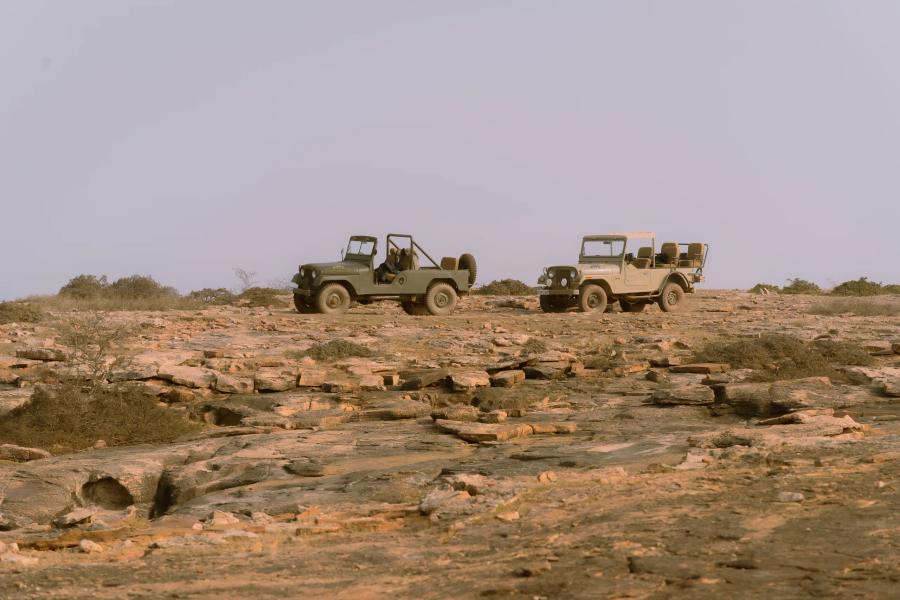 Vintage 4x4 Wilderness Drive