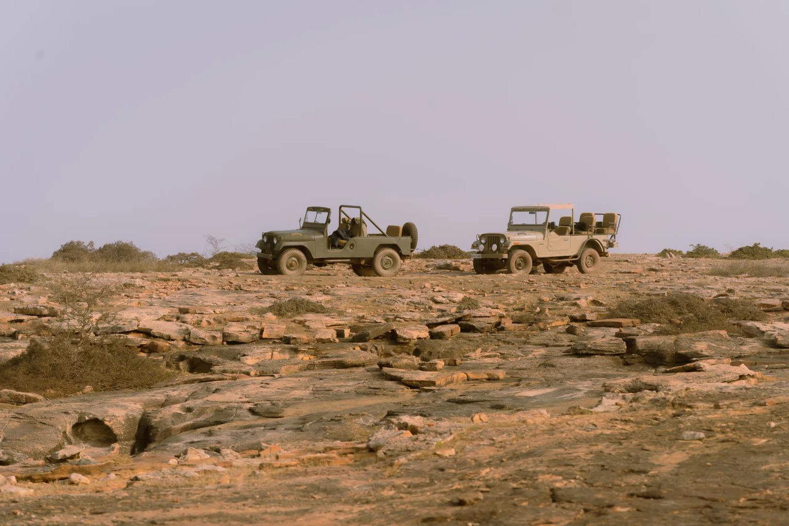Wilderness Drive