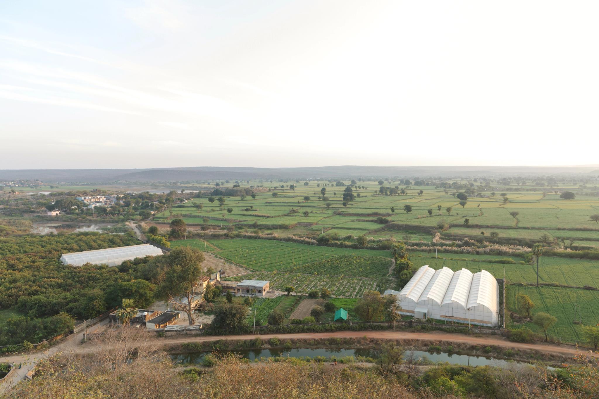 Conservation and Wildlife at Ramathra Fort