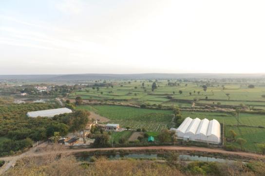Organic Farm