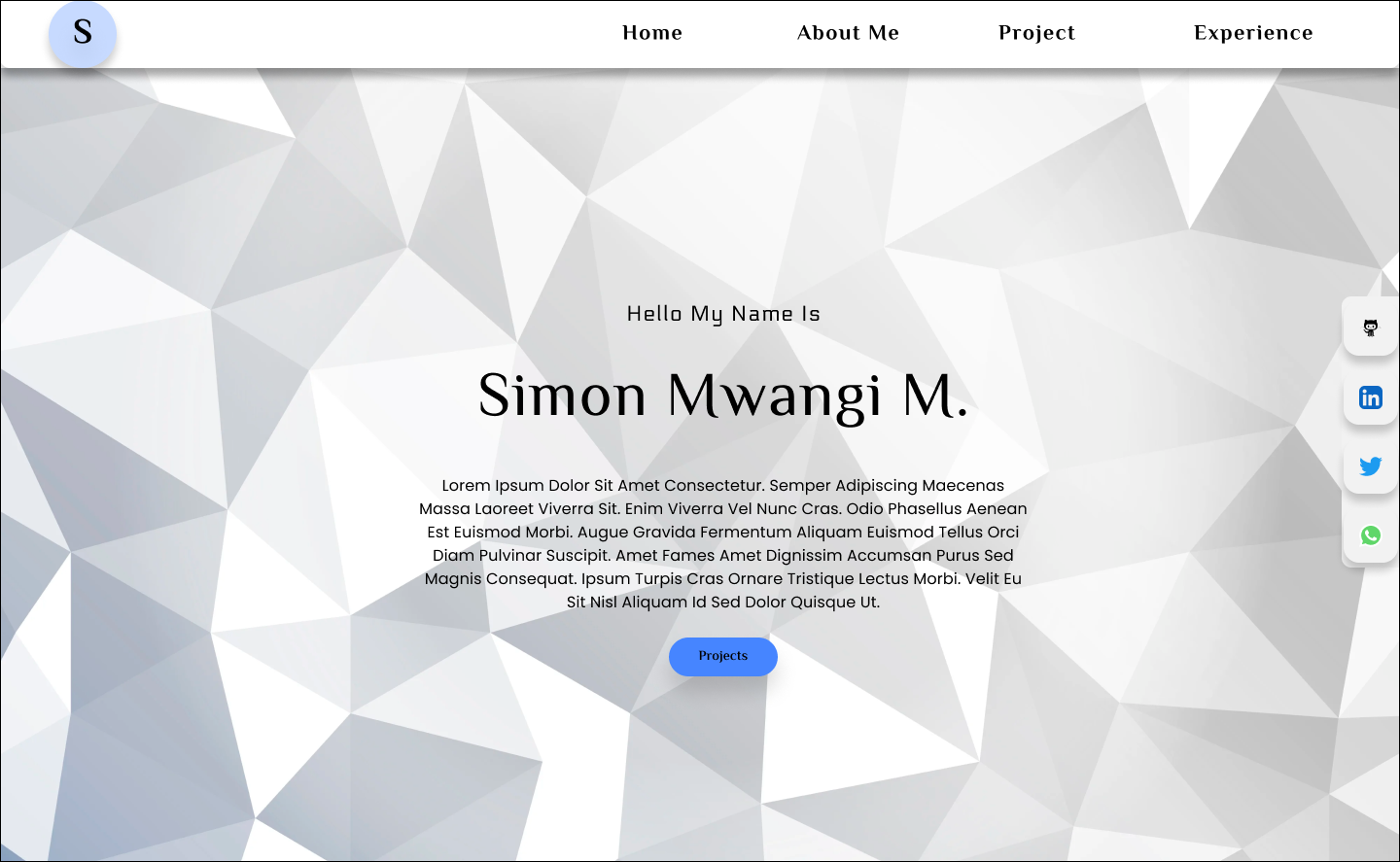 Portfolio Designs V2 screenshot 1