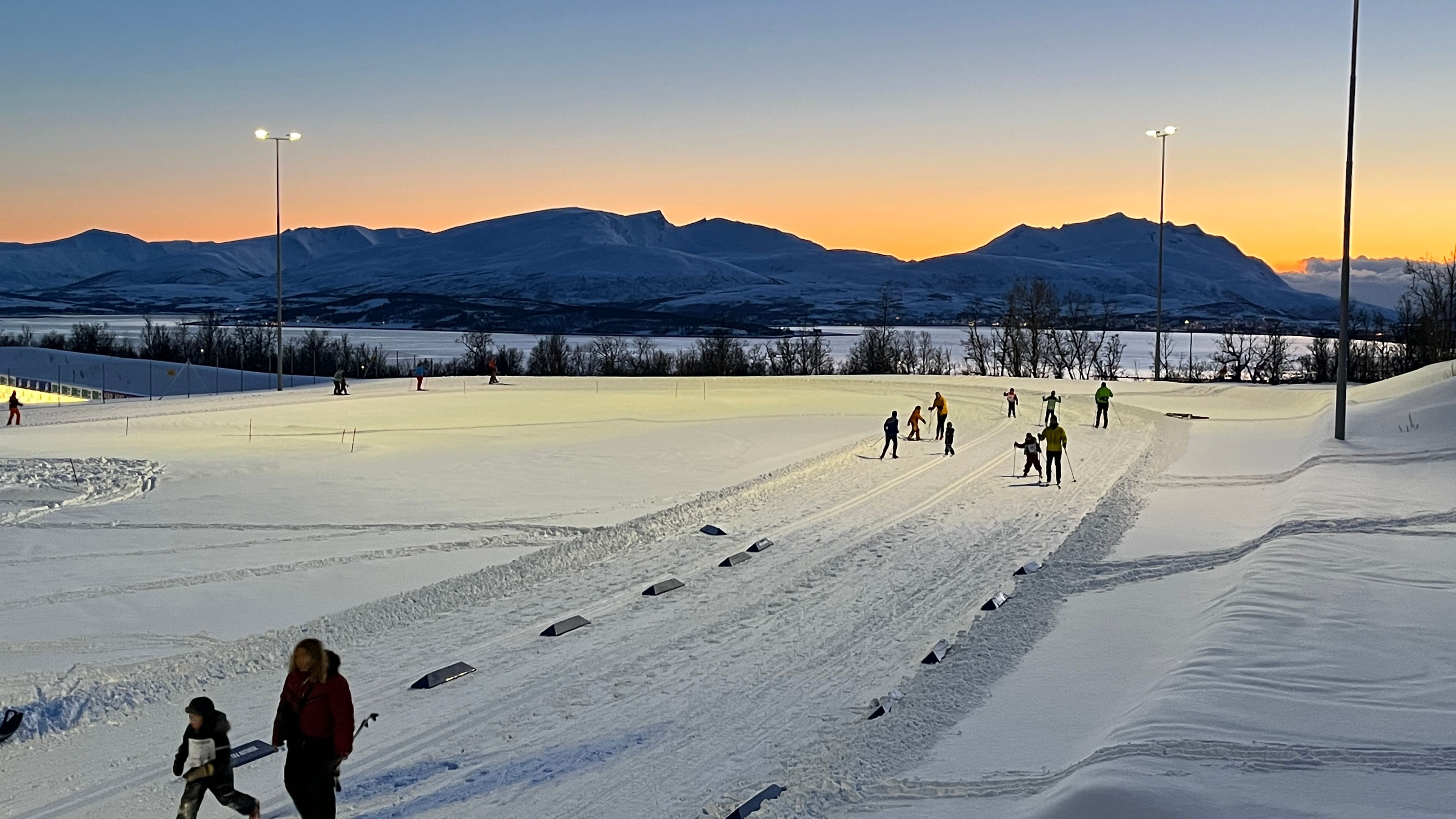 Experience the arctic view