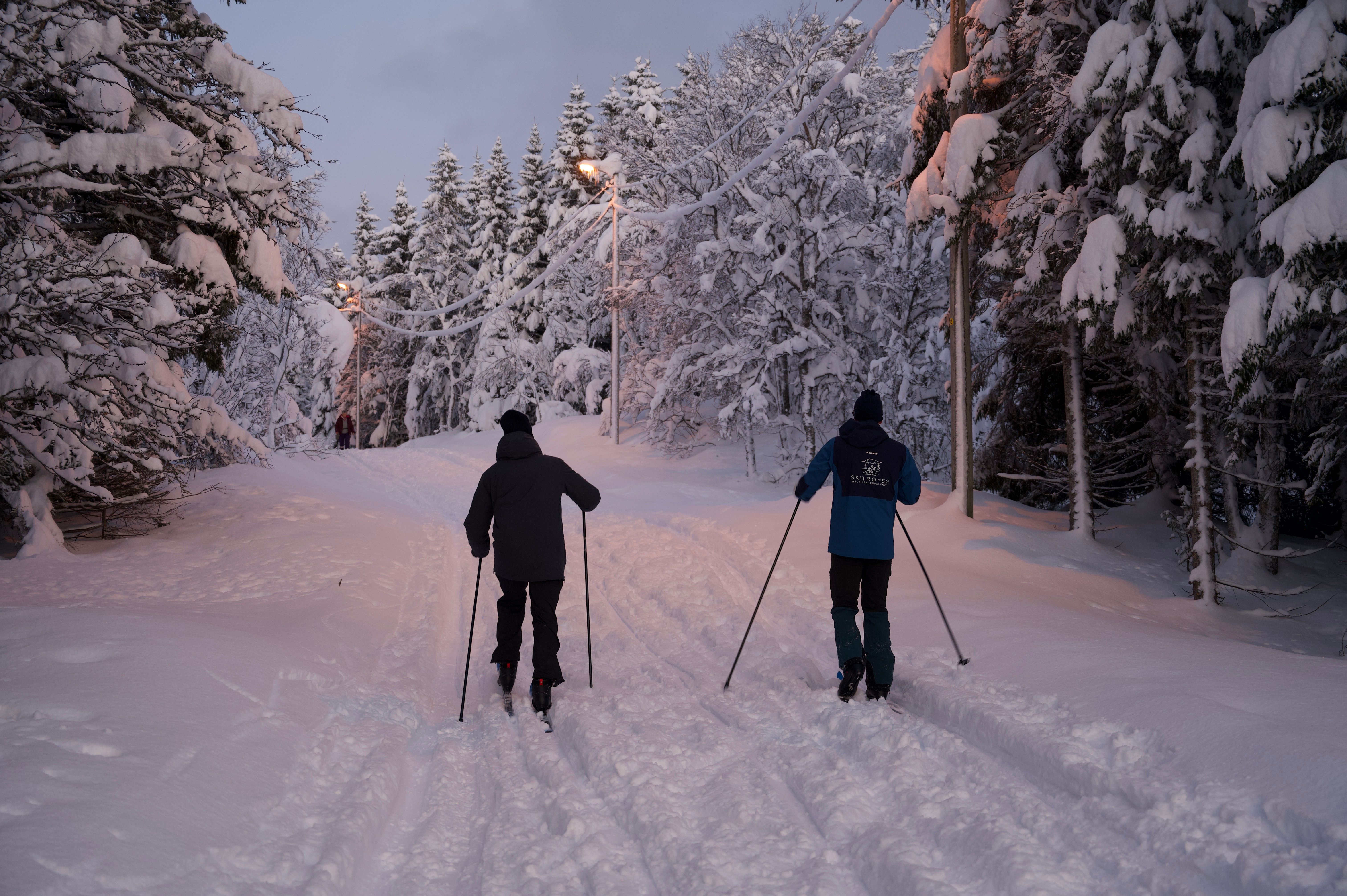 Skiing in the arctic