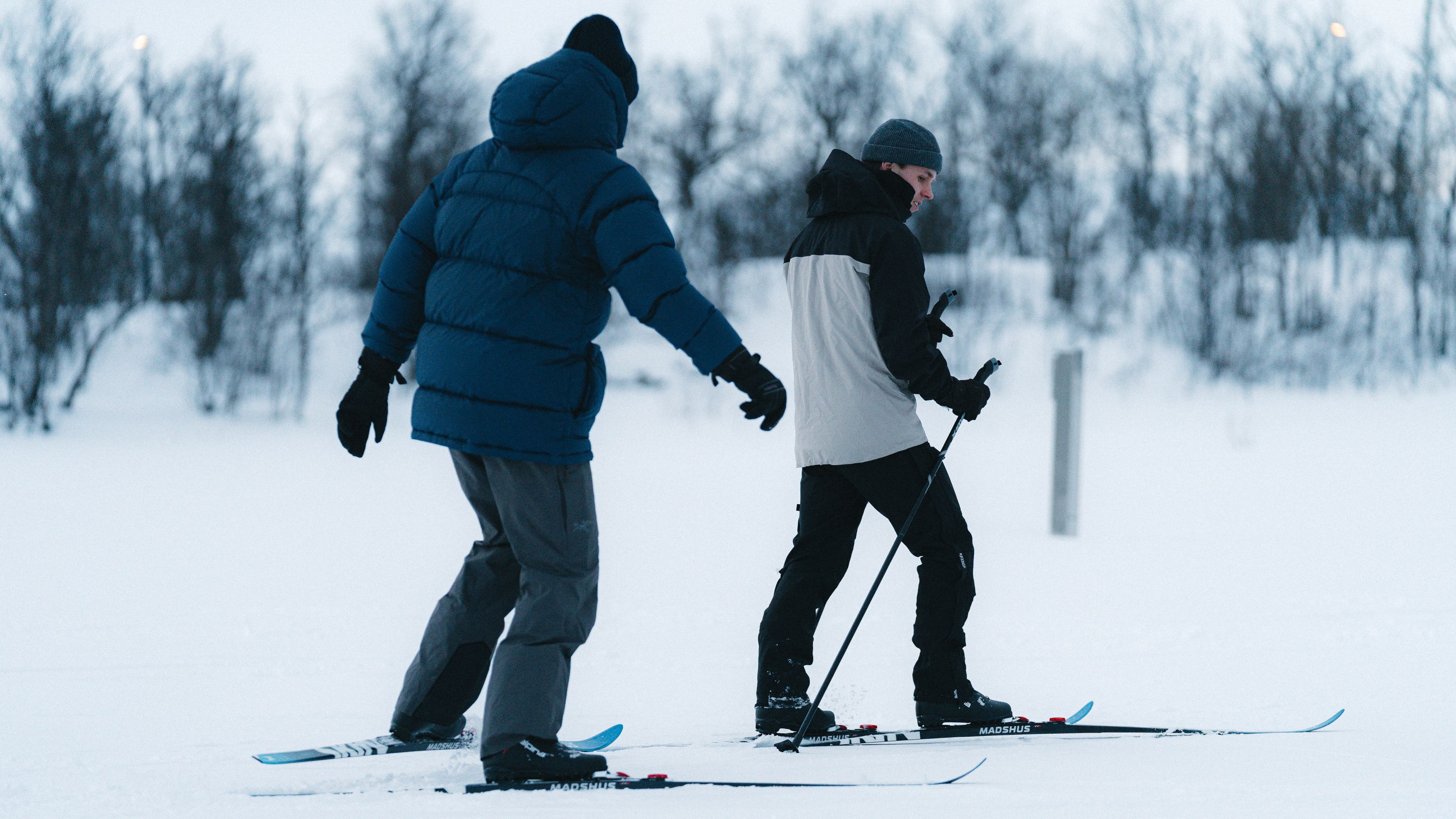 Skiing in the arctic