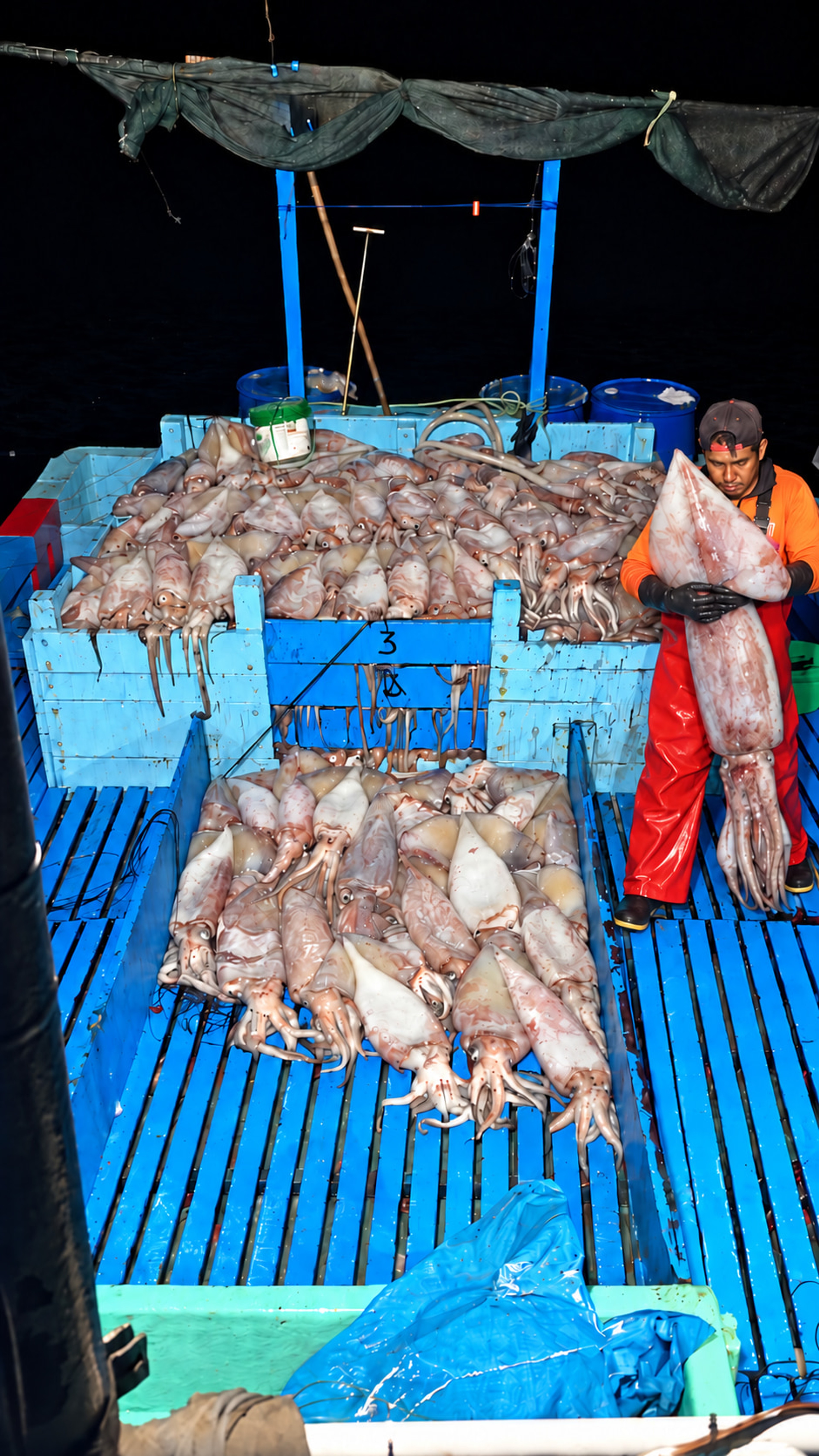 Faena de pota a bordo