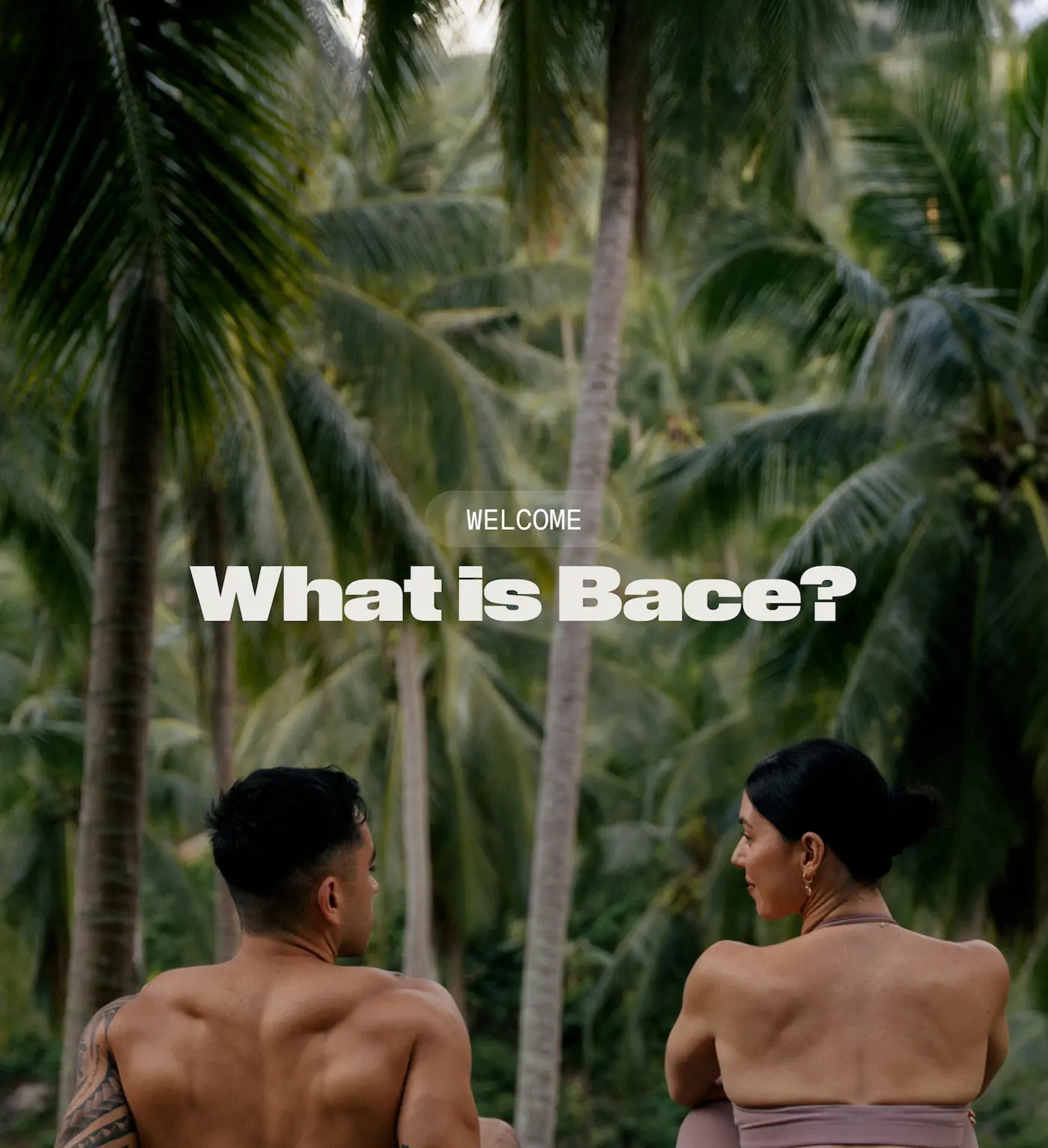 What is Bace?