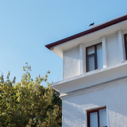 Monocouche Rendering