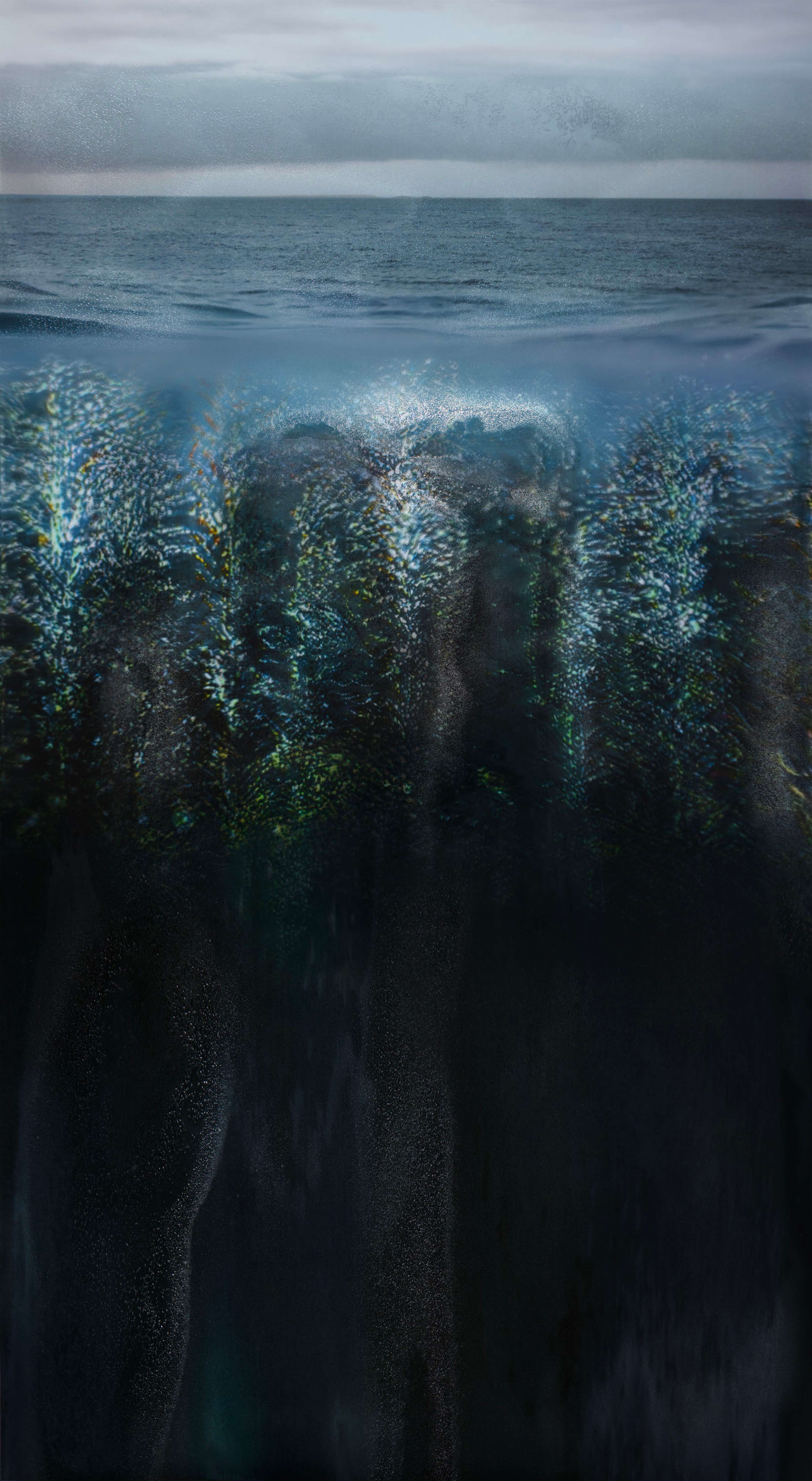 Paysages invisibles - pompe à carbone biologique des algues, 2023 | Sarah Braeck