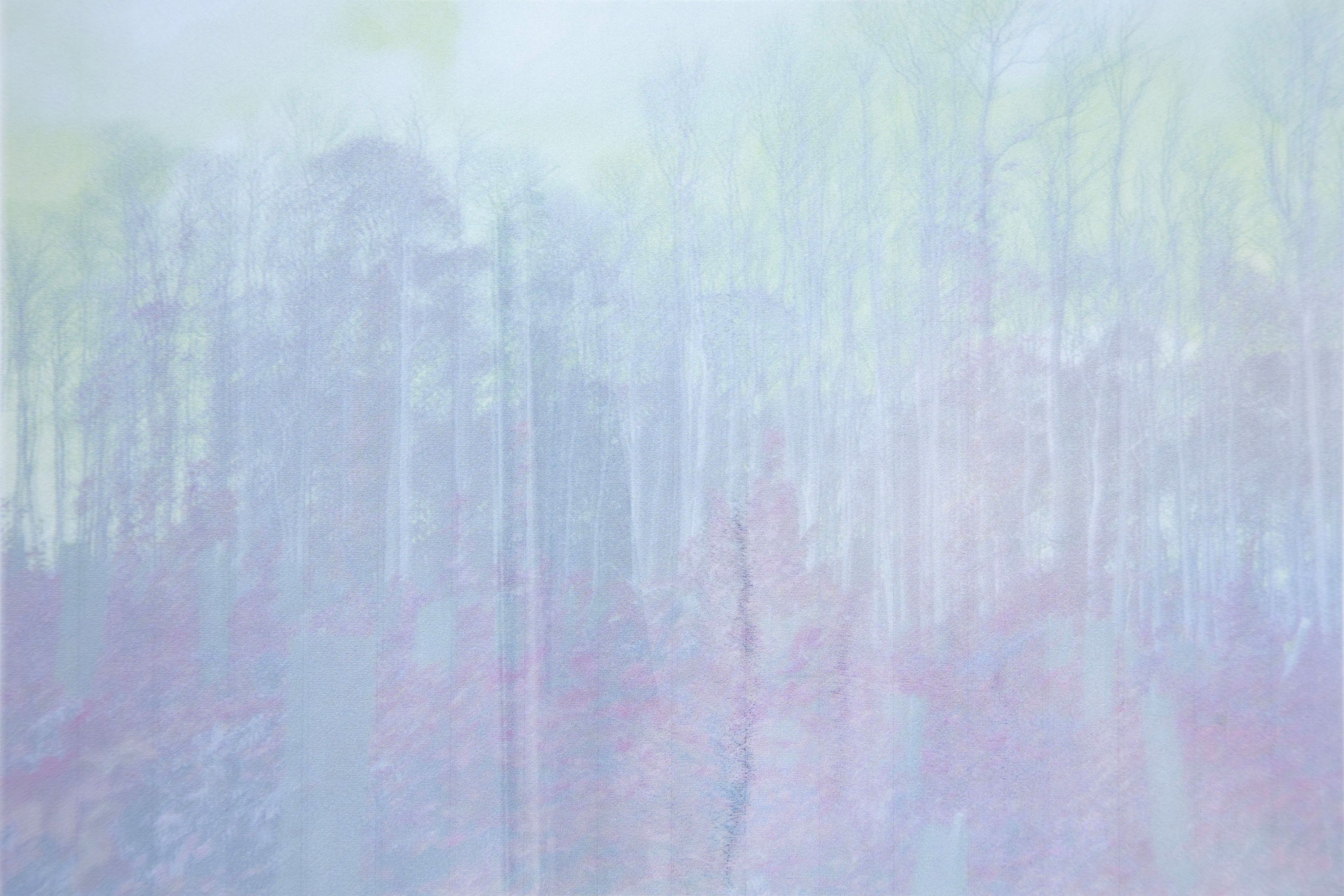 L'œil de la forêt  | Sarah Braeck