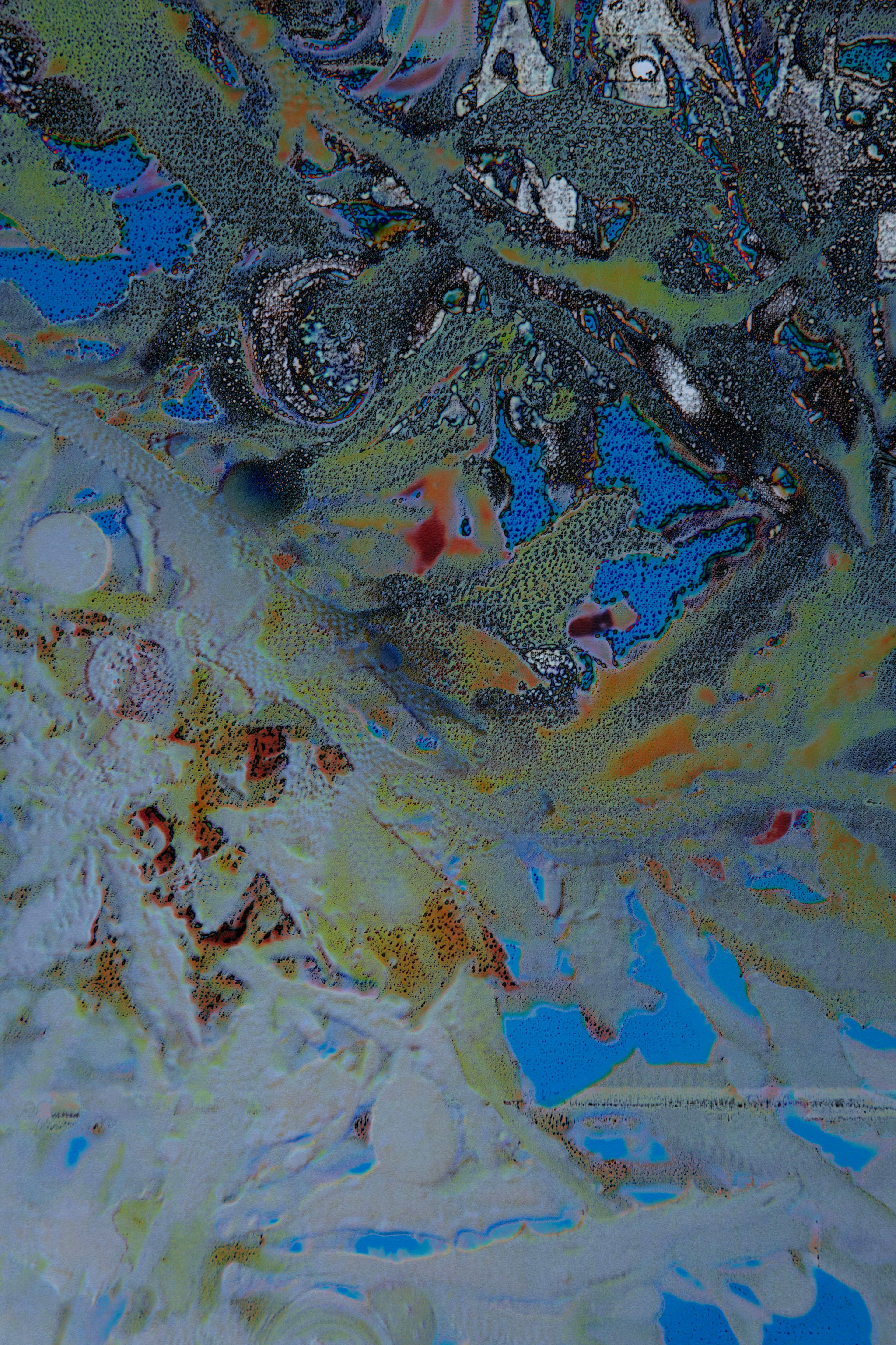 Atlas des algues - sargassum fluitans, mer des Caraïbes, 2023 | Sarah Braeck