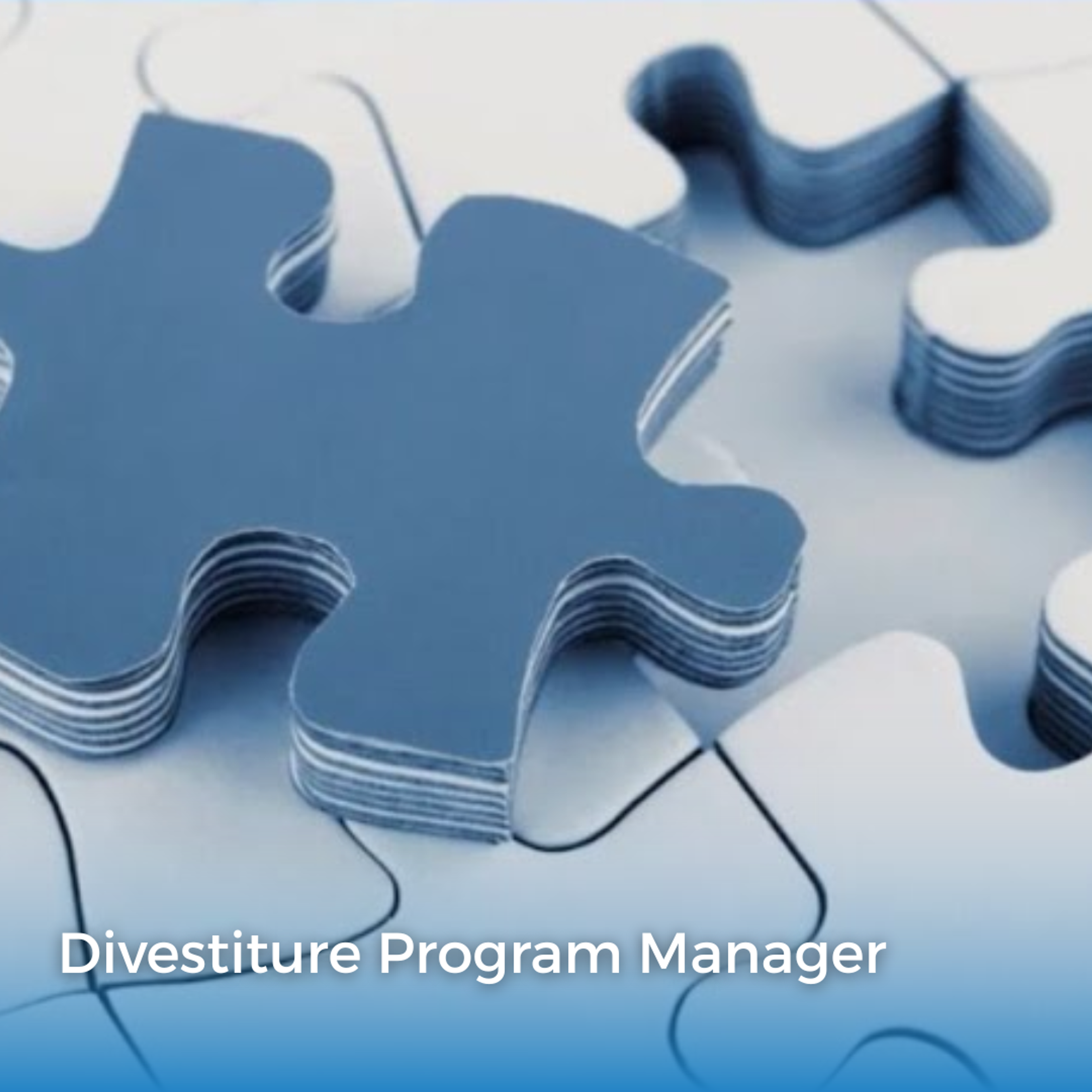 Delivered carve-out 10% under budget through strategy and execution oversight-banner