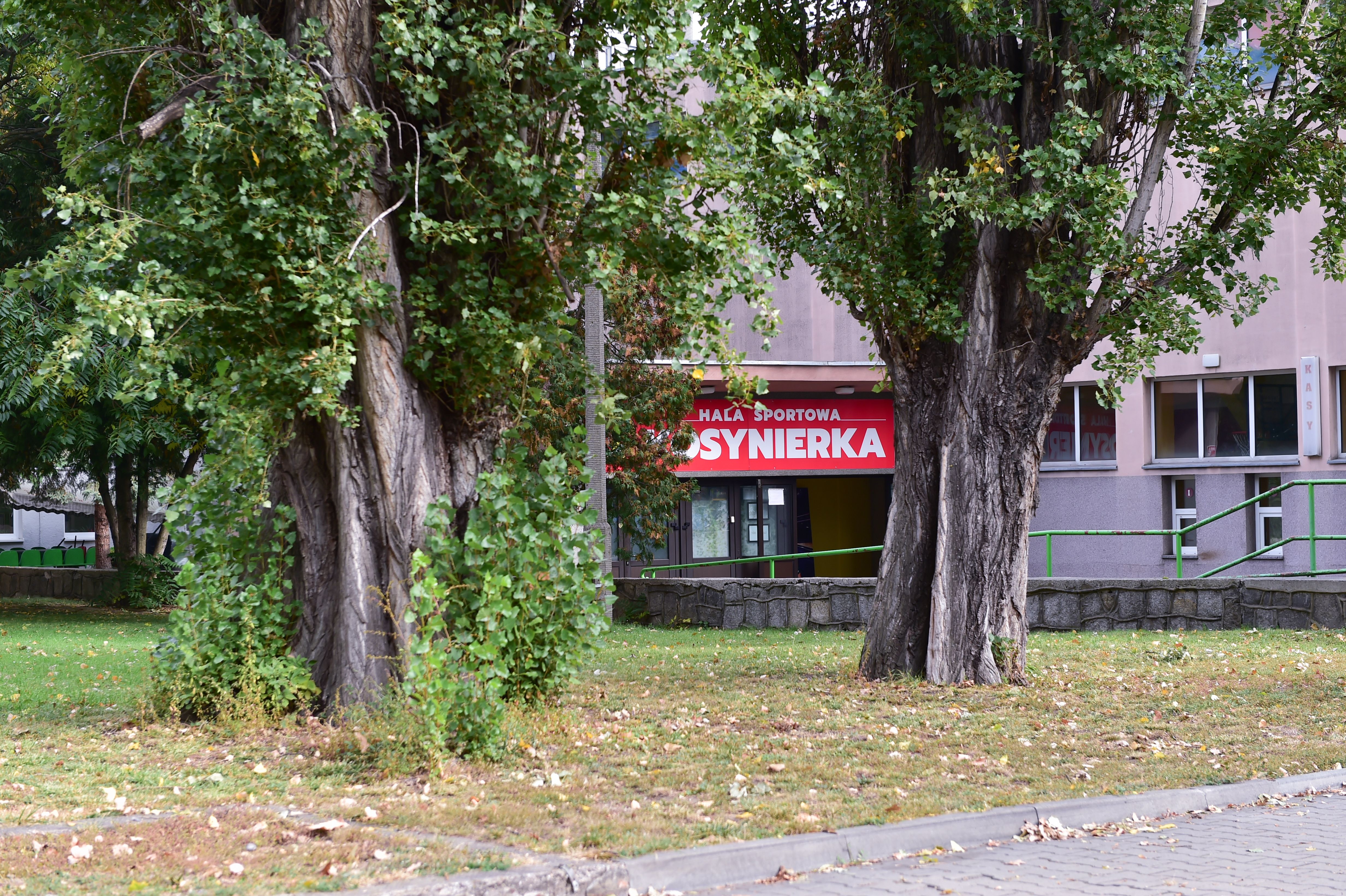 Hala Kosynierka
